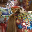 Heyn Jumper Cantle Detail